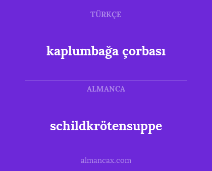 schildkrötensuppe - kaplumbağa çorbası