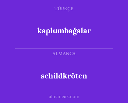 kaplumbağalar - schildkröten