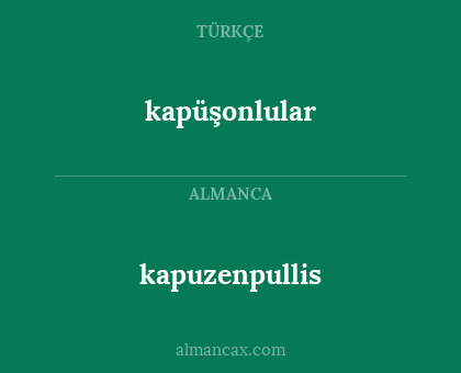 kapüşonlular - kapuzenpullis