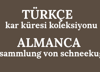 kar+k%C3%BCresi+koleksiyonu-sammlung+von+schneekugeln.png