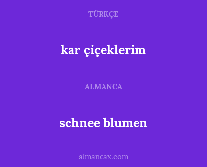 schnee blumen - kar çiçeklerim