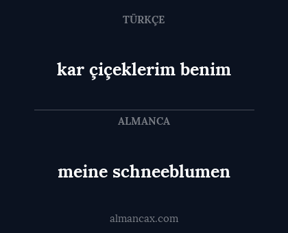 kar çiçeklerim benim - meine schneeblumen