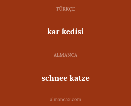 schnee katze - kar kedisi