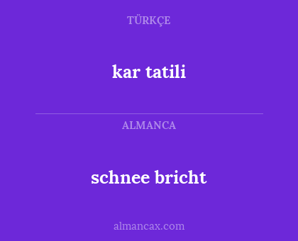 schnee bricht - kar tatili