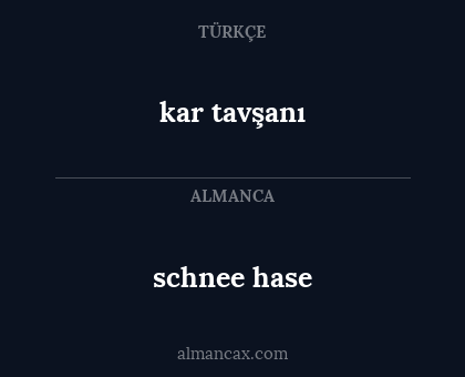 schnee hase - kar tavşanı