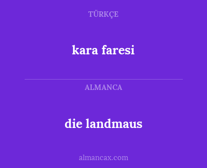 kara faresi - die landmaus