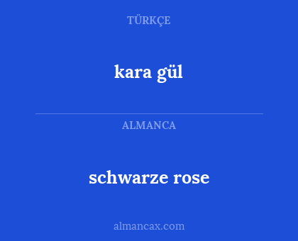 kara gül - schwarze rose