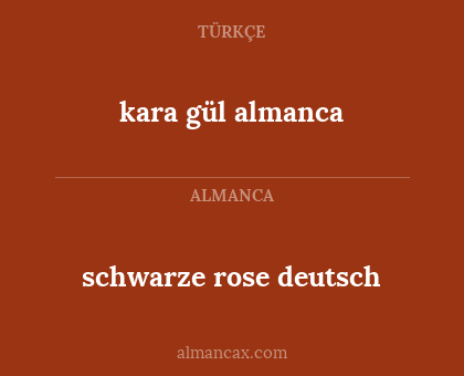 schwarze rose deutsch - kara gül almanca