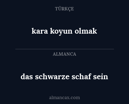 das schwarze schaf sein - kara koyun olmak