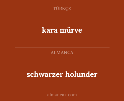 schwarzer holunder - kara mürve