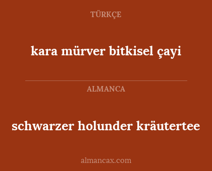 schwarzer holunder kräutertee - kara mürver bitkisel çayi