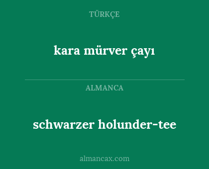 schwarzer holunder-tee - kara mürver çayı
