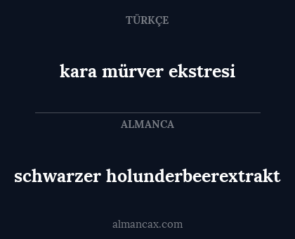 schwarzer holunderbeerextrakt - kara mürver ekstresi