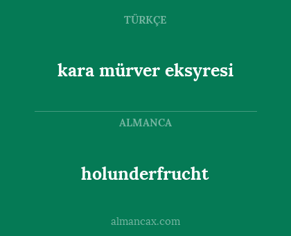 holunderfrucht - kara mürver eksyresi
