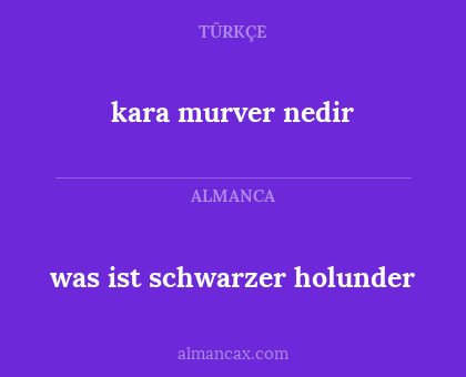 was ist schwarzer holunder - kara murver nedir