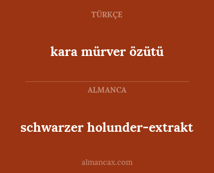 schwarzer holunder-extrakt - kara mürver özütü