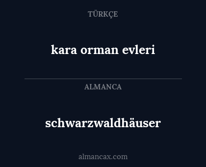 kara orman evleri - schwarzwaldhäuser