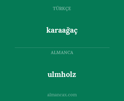 karaağaç - ulmholz