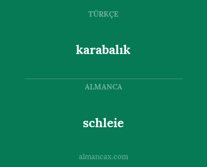 schleie - karabalık