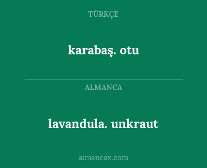 karabaş. otu - lavandula. unkraut