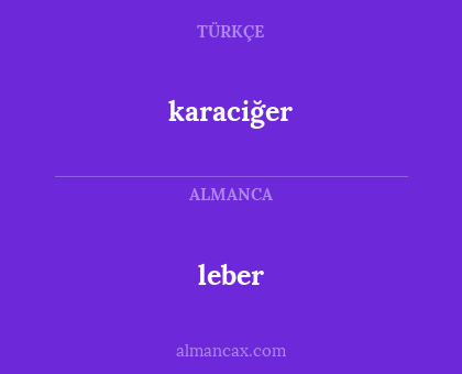 leber - karaciğer