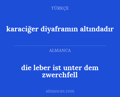 die leber ist unter dem zwerchfell - karaciğer diyaframın altındadır