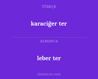 leber ter - karaciğer ter