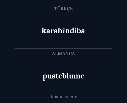 karahindiba - pusteblume
