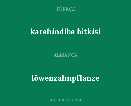 karahindiba bitkisi - löwenzahnpflanze