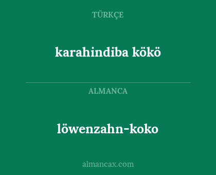 löwenzahn-koko - karahindiba kökö