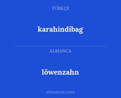 karahindibag - löwenzahn