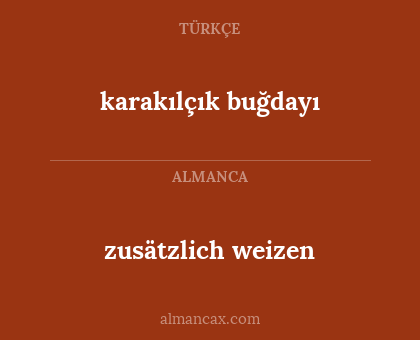 zusätzlich weizen - karakılçık buğdayı