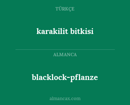 blacklock-pflanze - karakilit bitkisi