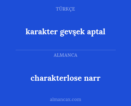 charakterlose narr - karakter gevşek aptal