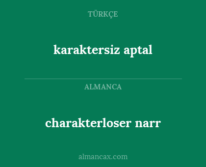 charakterloser narr - karaktersiz aptal