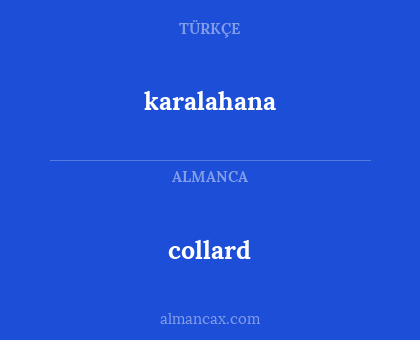 collard - karalahana