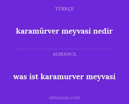 karamürver meyvasi nedir - was ist karamurver meyvasi