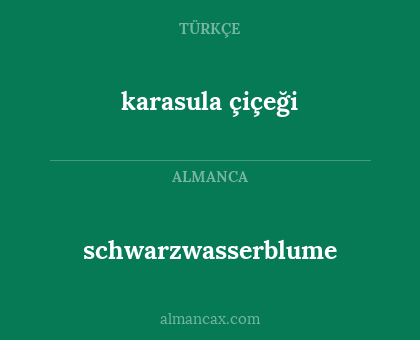 karasula çiçeği - schwarzwasserblume