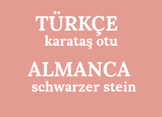karata%C5%9F+otu-schwarzer+stein.png