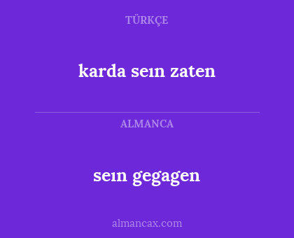 seın gegagen - karda seın zaten