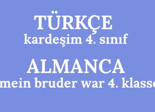 karde%C5%9Fim+4.+s%C4%B1n%C4%B1f-mein+bruder+war+4.+klasse.png