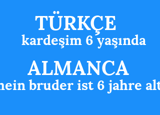 karde%C5%9Fim+6+ya%C5%9F%C4%B1nda-mein+bruder+ist+6+jahre+alt.png