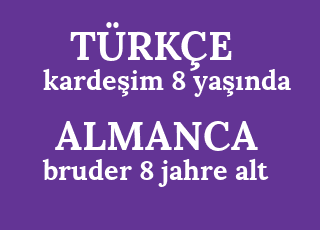 karde%C5%9Fim+8+ya%C5%9F%C4%B1nda-bruder+8+jahre+alt.png