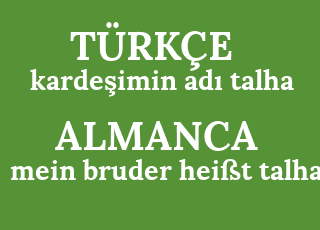 karde%C5%9Fimin+ad%C4%B1+talha-mein+bruder+hei%C3%9Ft+talha.png