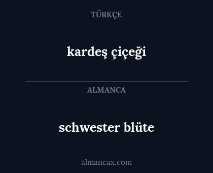 schwester blüte - kardeş çiçeği