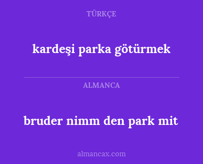 kardeşi parka götürmek - bruder nimm den park mit