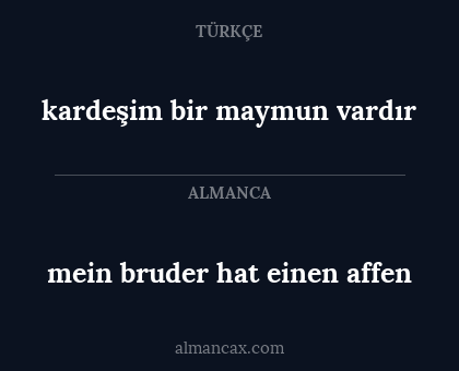 mein bruder hat einen affen - kardeşim bir maymun vardır