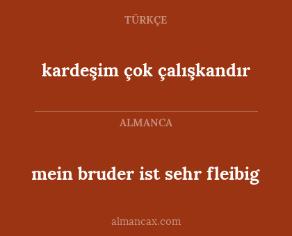kardeşim çok çalışkandır - mein bruder ist sehr fleibig