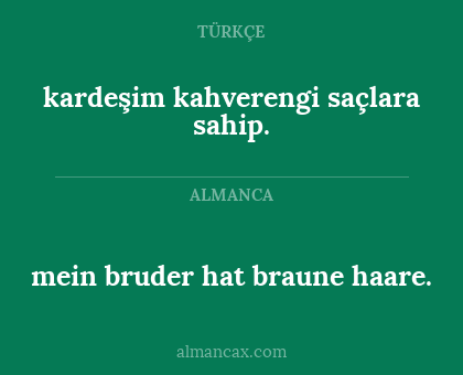mein bruder hat braune haare. - kardeşim kahverengi saçlara sahip.