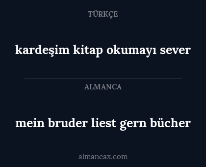 kardeşim kitap okumayı sever - mein bruder liest gern bücher